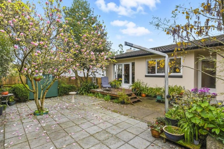 Photo of property in 79 Kawiu Road, Levin, 5510