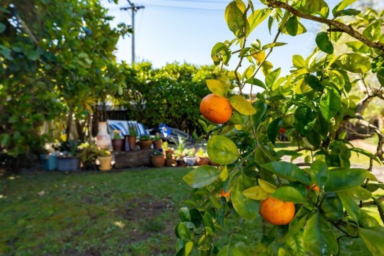 Photo of property in 29 Kapuka Road, Mangere Bridge, Auckland, 2022