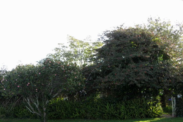 Photo of property in 4 Kowhai Street, Whakatane, 3120