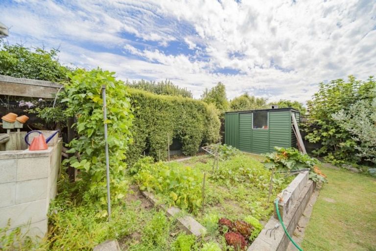 Photo of property in 31 James Foley Avenue, Pirimai, Napier, 4112