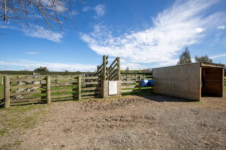 Photo of property in 244 Greenpark Road, Lincoln, Christchurch, 7674