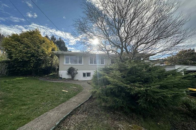 Photo of property in 28 Marshall Street, Bradford, Dunedin, 9011