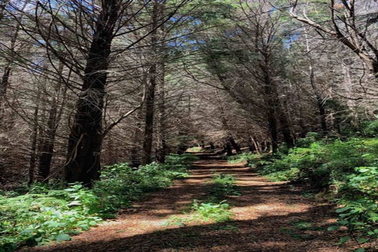 Photo of property in 443 East Takaka Road, East Takaka, Takaka, 7183