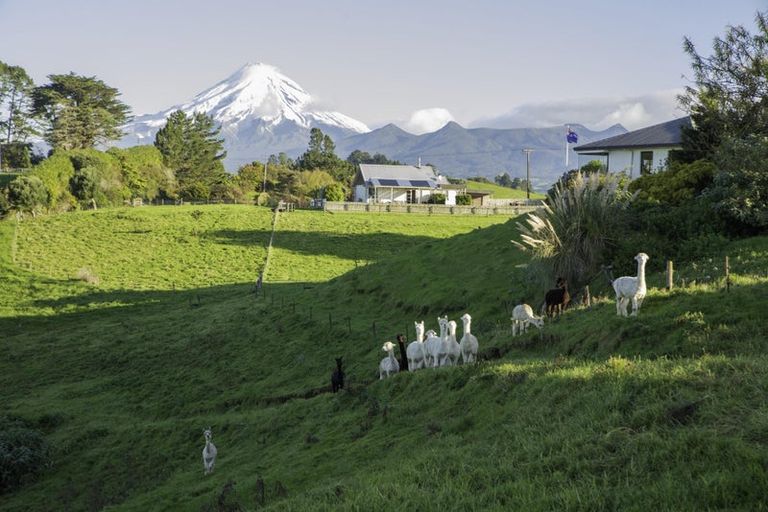 Photo of property in 10 Allan Road, Burgess Park, New Plymouth, 4371