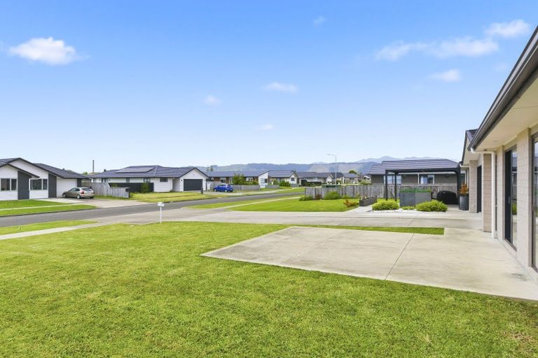 Photo of property in 97 Hinemoa Street, Levin, 5510