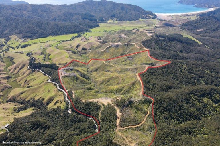 Photo of property in 478 Port Charles Road, Waikawau, Coromandel, 3584