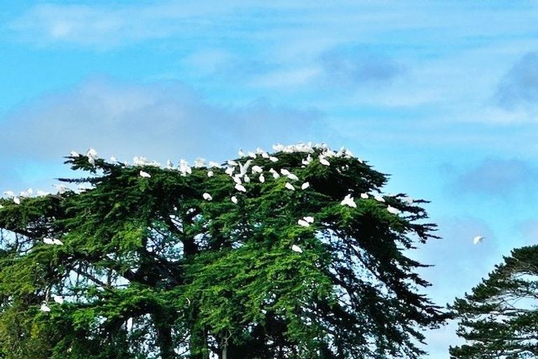 Photo of property in 66a Walker Road, Awanui, 0486