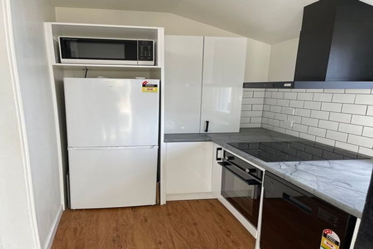 Photo of property in 494 South Road, Calton Hill, Dunedin, 9012