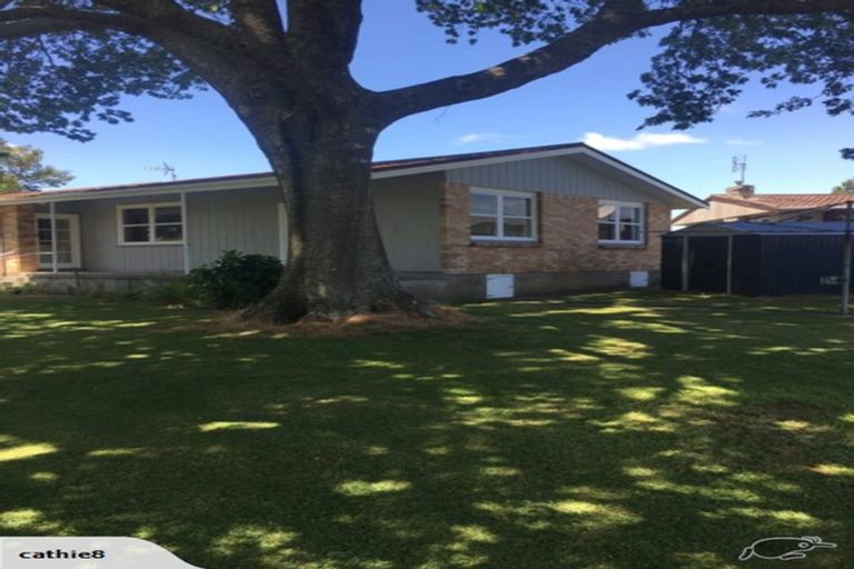 Photo of property in 205 Mcnair Road, Te Awamutu, 3800