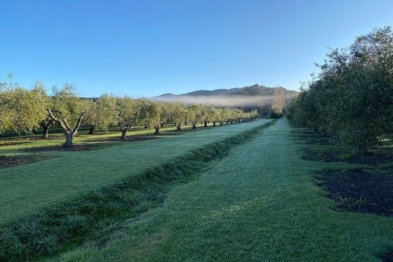 Photo of property in 478 Hihi Road, Hihi, Mangonui, 0494