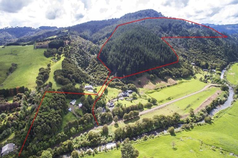 Photo of property in 195 Kapowai Road, Whenuakite, Whitianga, 3591