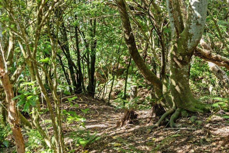 Photo of property in 11 Le Bons Bay Road, Le Bons Bay, 7583