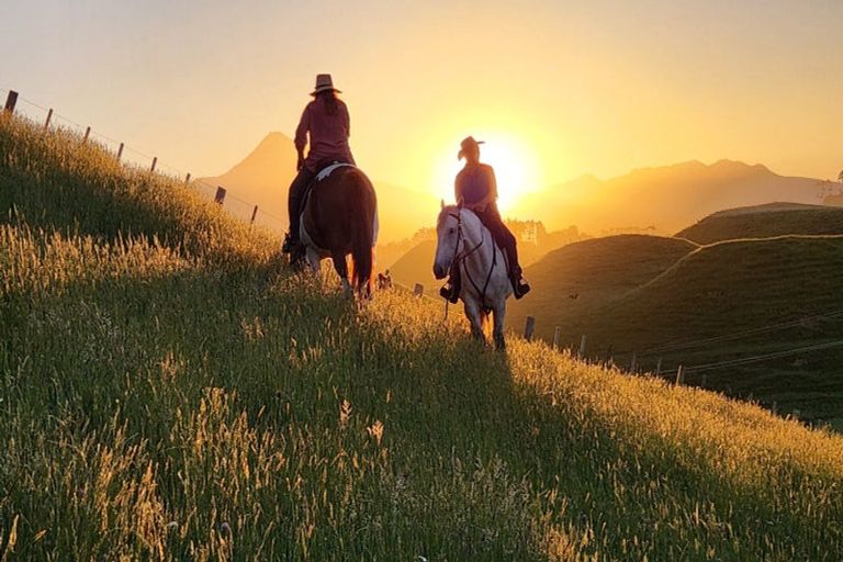 Photo of property in 964 Tarata Road, Kaimata, 4387