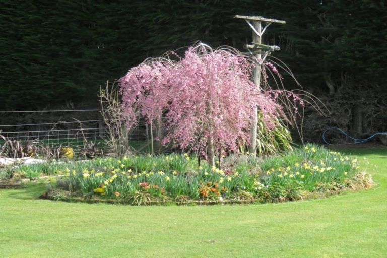 Photo of property in 988 Winton-wreys Bush Highway, Oreti Plains, Winton, 9783