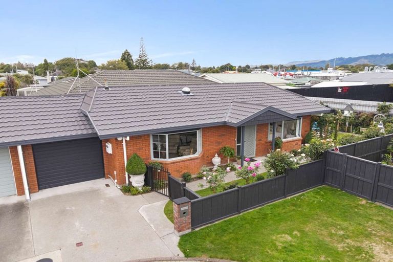 Photo of property in 6 Surrey Lane, Levin, 5510