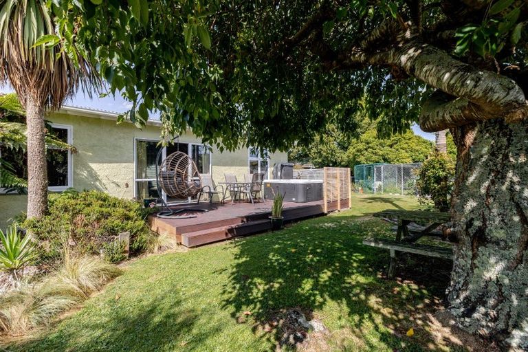 Photo of property in 223 Tutaekara Road, Pahiatua, 4987