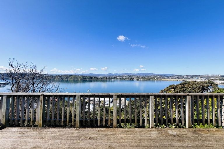 Photo of property in 55a Overtoun Terrace, Hataitai, Wellington, 6021