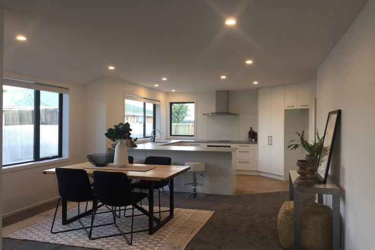 Photo of property in 103a Trevors Road, Hampstead, Ashburton, 7700