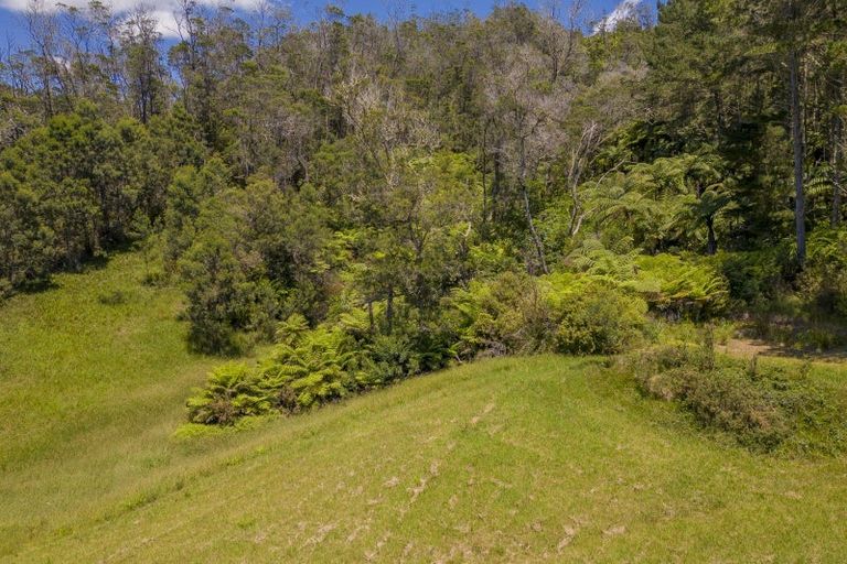 Photo of property in 92 Comers Road, Kaimarama, Whitianga, 3591