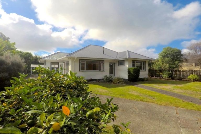 Photo of property in 9 Montgomery Street, Levin, 5510