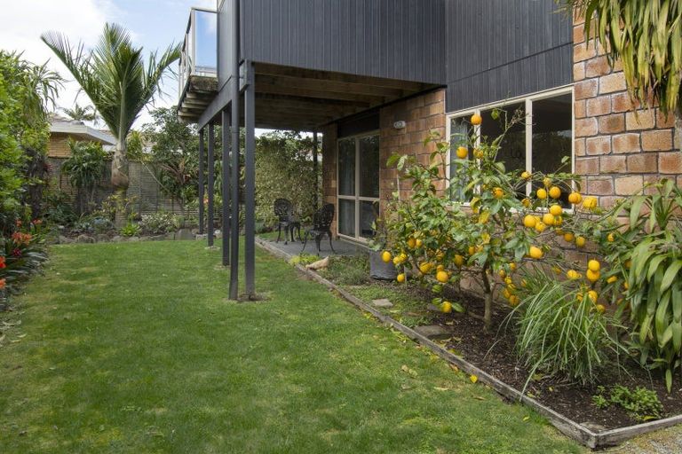 Photo of property in 3 Myrtle Drive, Omokoroa, 3114