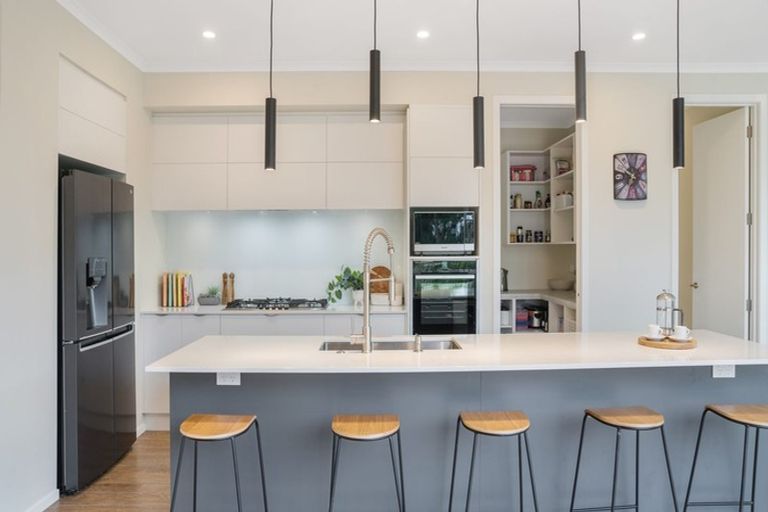 Photo of property in 155 Metehau Street, Marshland, Christchurch, 8083