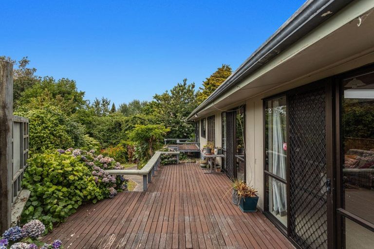 Photo of property in 49 Woodlands Road, Opotiki, 3122