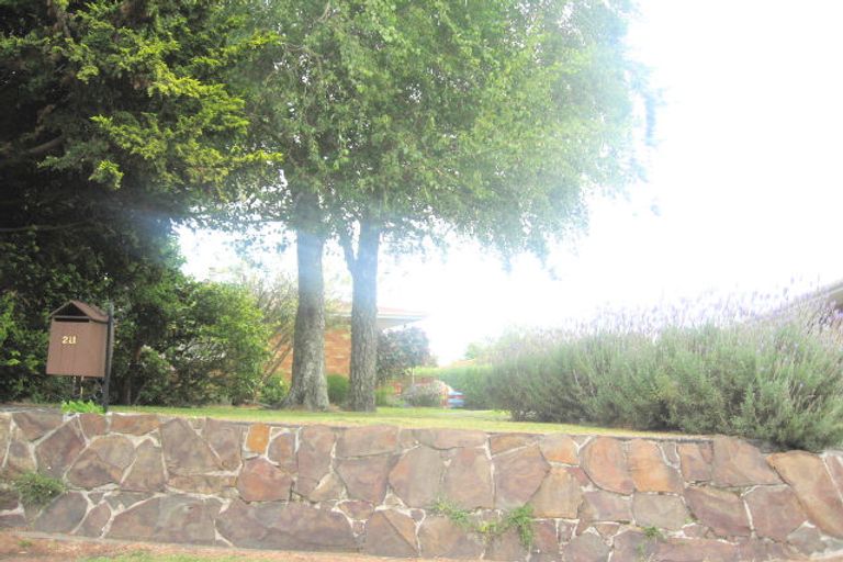 Photo of property in 211 Boucher Avenue, Te Puke, 3119