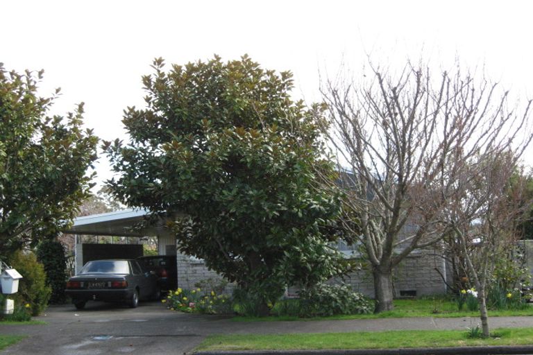 Photo of property in 56 Elliott Crescent, Havelock North, 4130