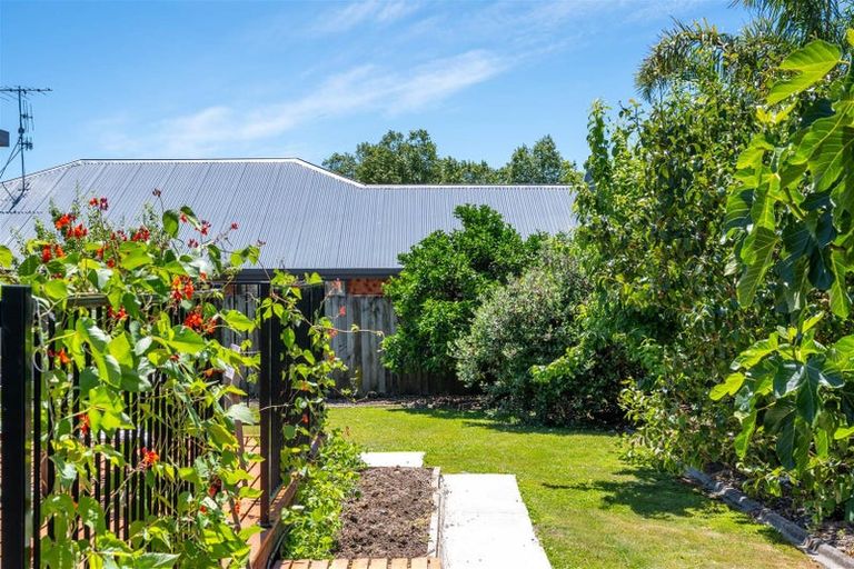 Photo of property in 34 Appaloosa Avenue, Richmond, 7020