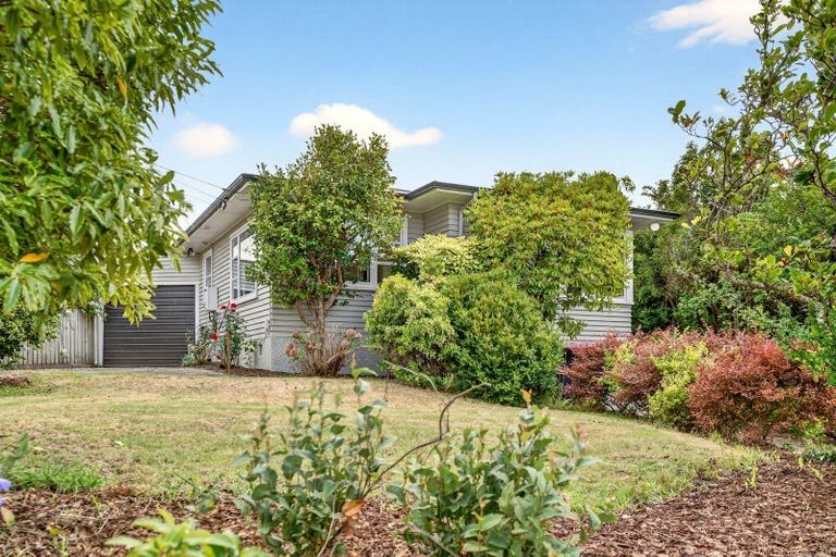 Photo of property in 8 Miro Street, Lansdowne, Masterton, 5810