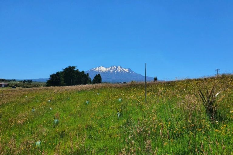 Photo of property in 111 Matapuna Road, Horopito, Raetihi, 4696