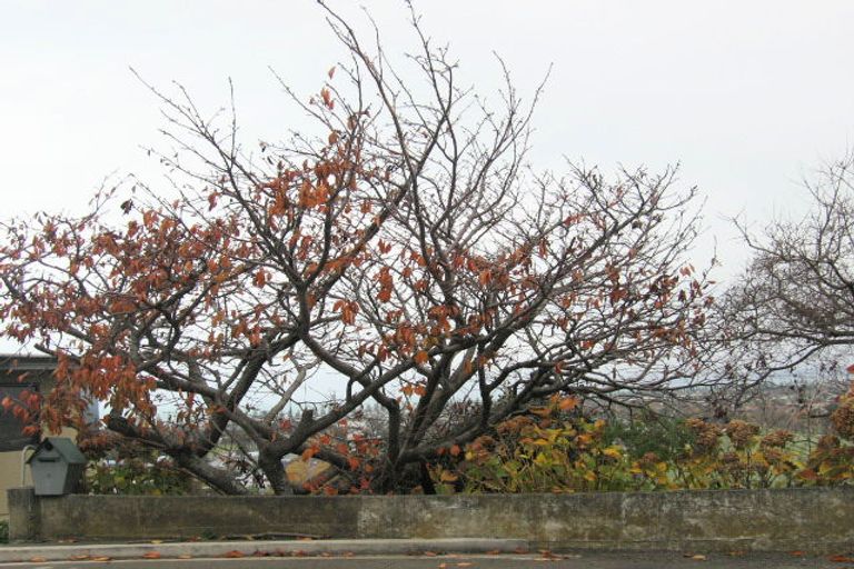 Photo of property in 8 Oliver Road, Hospital Hill, Napier, 4110