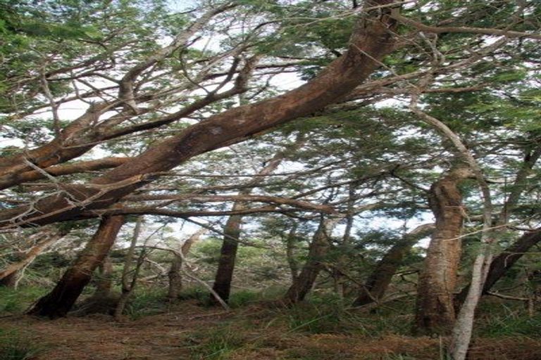 Photo of property in 63 Trig Road, Houhora, Kaitaia, 0484