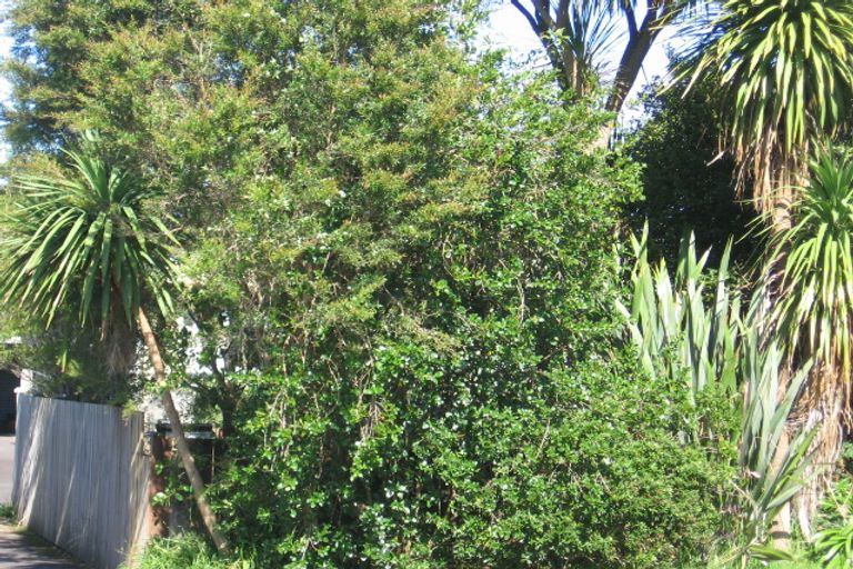 Photo of property in 66 Routley Drive, Glen Eden, Auckland, 0602