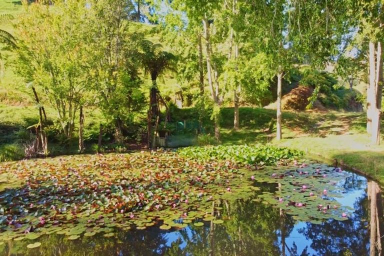 Photo of property in 822 Motukawa Road, Tarata, Inglewood, 4387