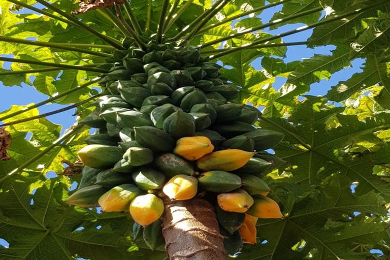 Photo of property in 37a Gillies Crescent, Waimarama, 4294