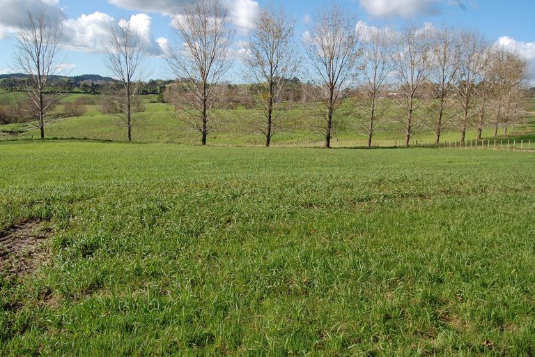 Photo of property in 84 Rangiora Road, Kaiwaka, 0573