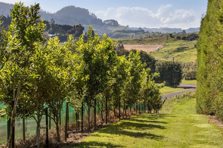 Photo of property in 96 Lindemann Road, Tahawai, Katikati, 3170