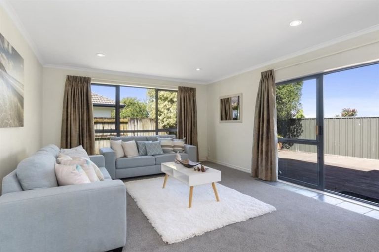 Photo of property in 41 Francevic Avenue, Mount Maunganui, 3116