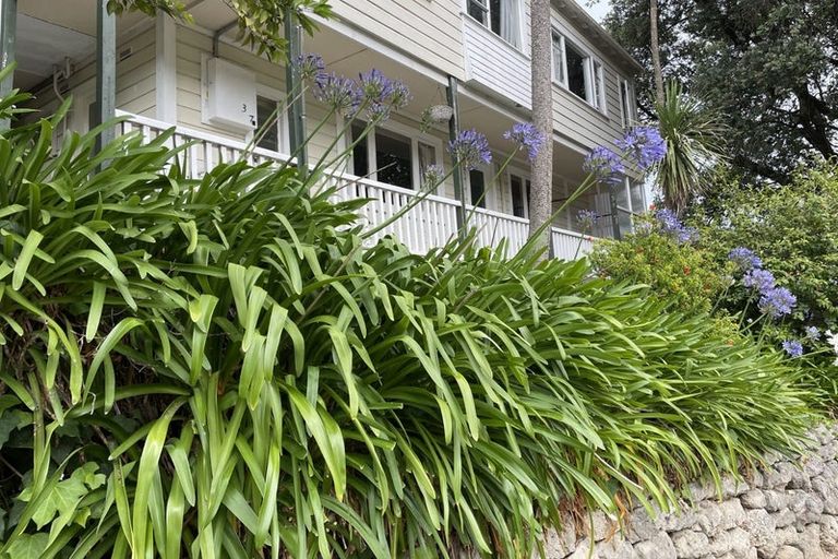 Photo of property in 37 Faraday Street, Hospital Hill, Napier, 4110