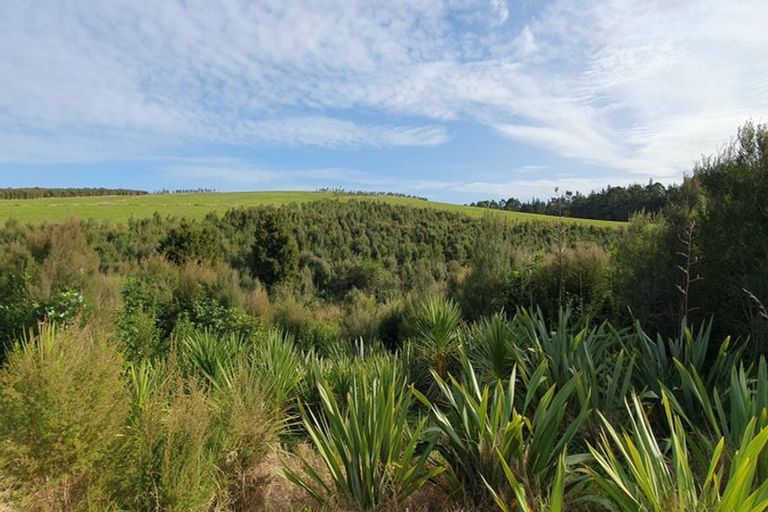 Photo of property in 19 Okura Drive, Kerikeri, 0230