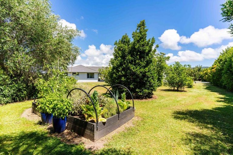 Photo of property in 70 Jack Boyd Drive, Mangawhai Heads, Kaiwaka, 0573