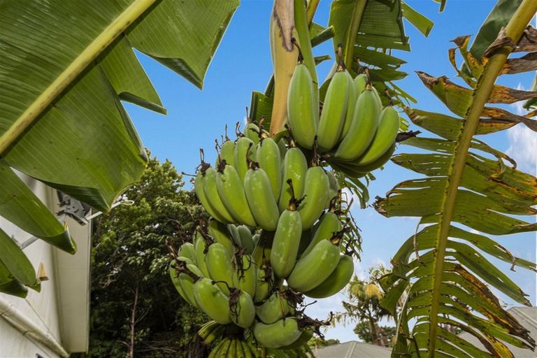 Photo of property in 576 State Highway 14, Maunu, Whangarei, 0179