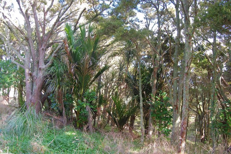 Photo of property in 542e Oneriri Road, Kaiwaka, 0573