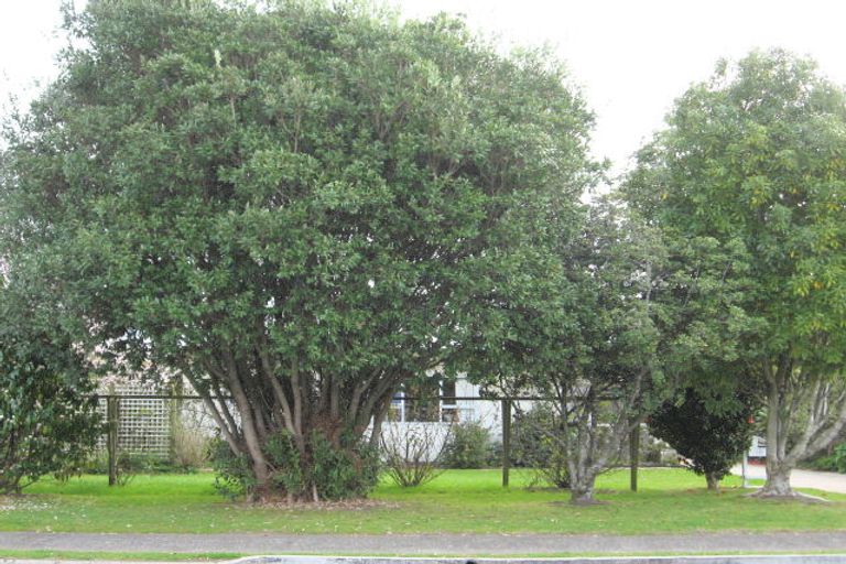 Photo of property in 84 Cook Drive, Whitianga, 3510