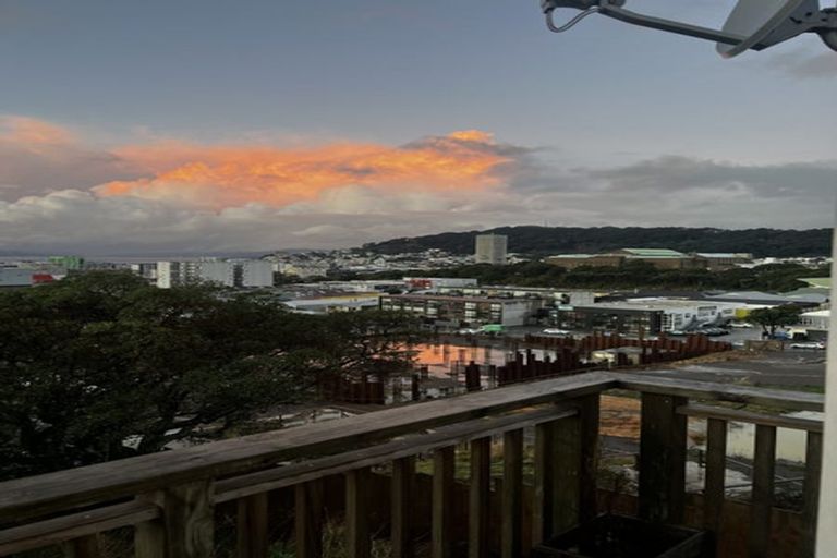 Photo of property in 66 Hankey Street, Mount Cook, Wellington, 6011