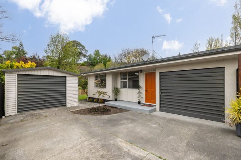 Photo of property in 19 Keirunga Road, Havelock North, 4130