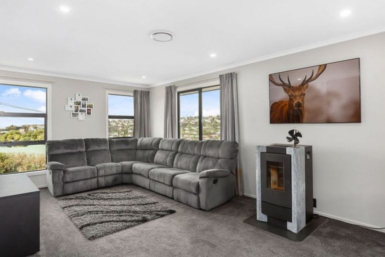 Photo of property in 17 Pennant Street, Wakari, Dunedin, 9010