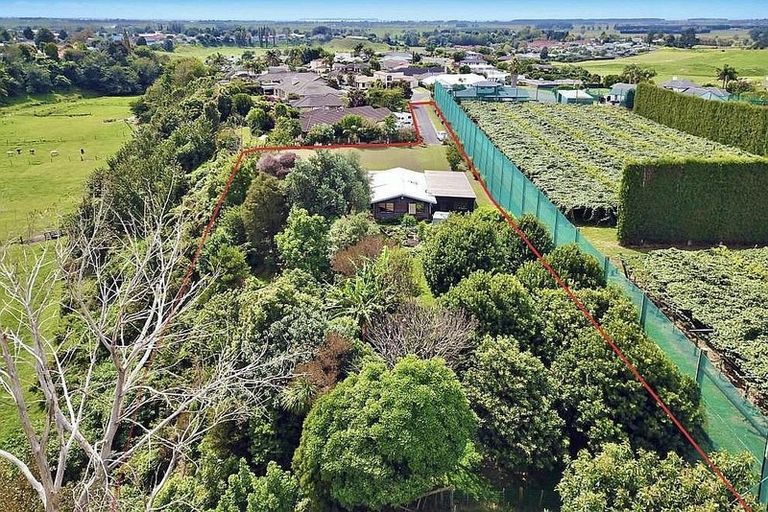 Photo of property in 3 Donelle Place, Te Puke, 3119